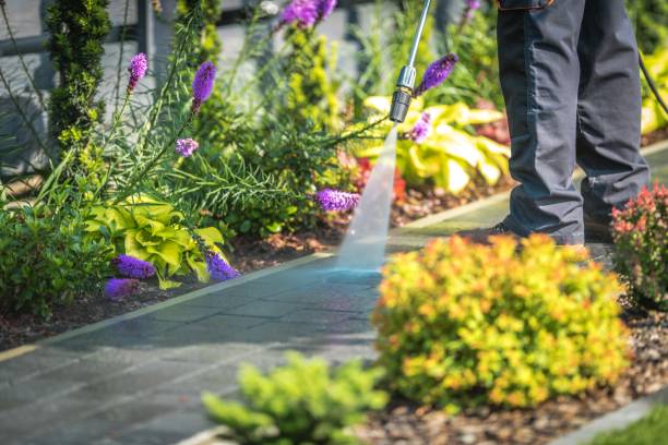 Reliable Tilton, IL Pressure Washing Services Solutions
